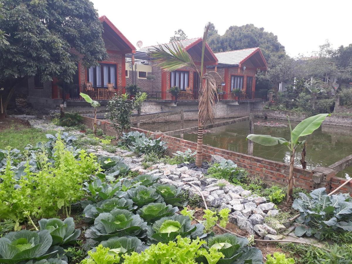 Chez Hiep Tam Coc Homestay Ninh Binh Luaran gambar